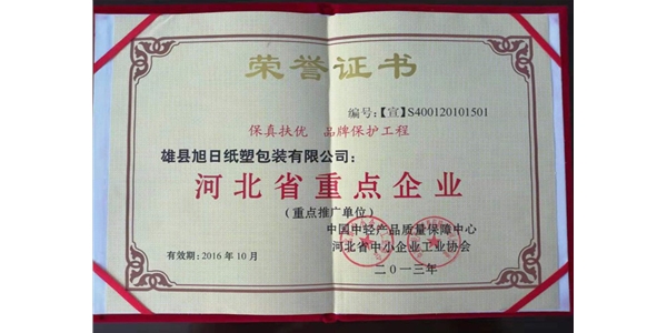 重點企業(yè)